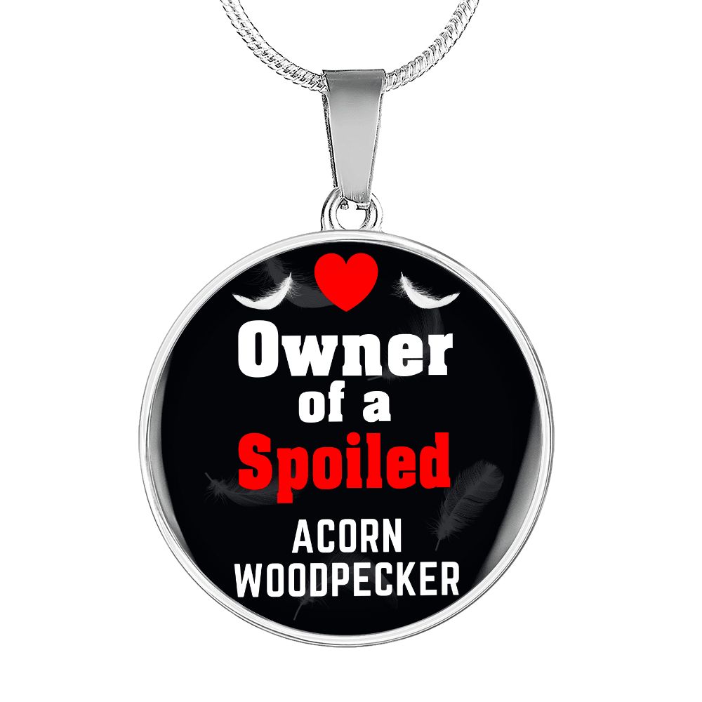 Acorn Woodpecker Bird Owner Necklace Circle Pendant Stainless Steel or 18k Gold 18-22"-Express Your Love Gifts