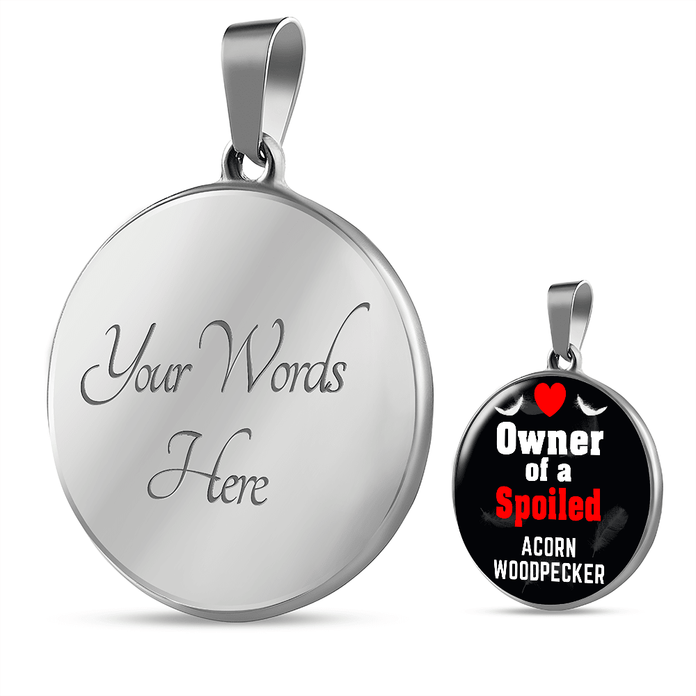 Acorn Woodpecker Bird Owner Necklace Circle Pendant Stainless Steel or 18k Gold 18-22"-Express Your Love Gifts