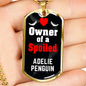 Adelie Penguin Bird Necklace Stainless Steel or 18k Gold Dog Tag 24" Chain-Express Your Love Gifts