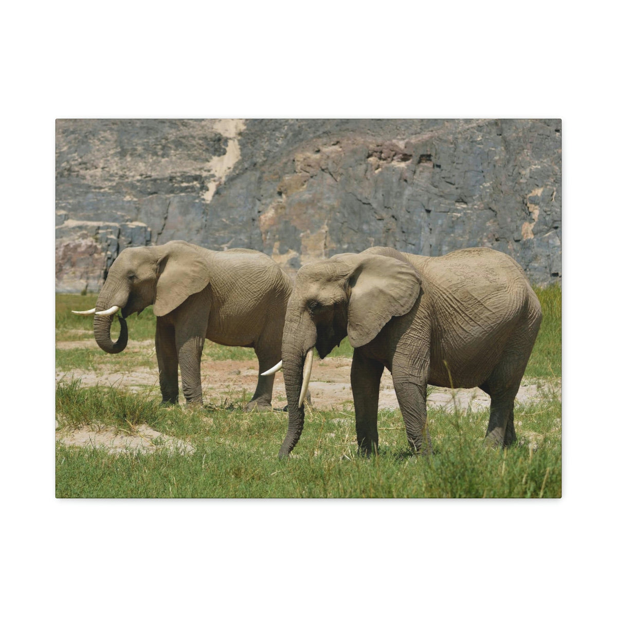 Scripture Walls African Elephant Couple African Elephant Troop Print Animal Wall Art Wildlife Canvas Prints Wall Art Ready to Hang Unframed-Express Your Love Gifts