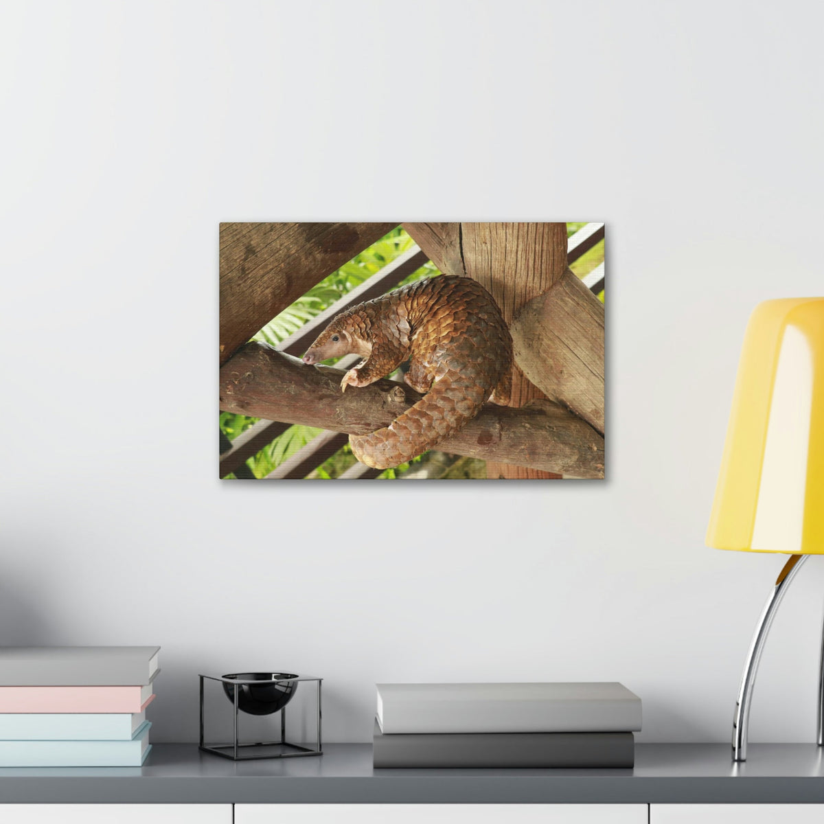 African Tree Pangolin Hanging On The Tree Staring African Tree Pangolin Outdoor Wall Art Ready To Hang Unframed-Express Your Love Gifts