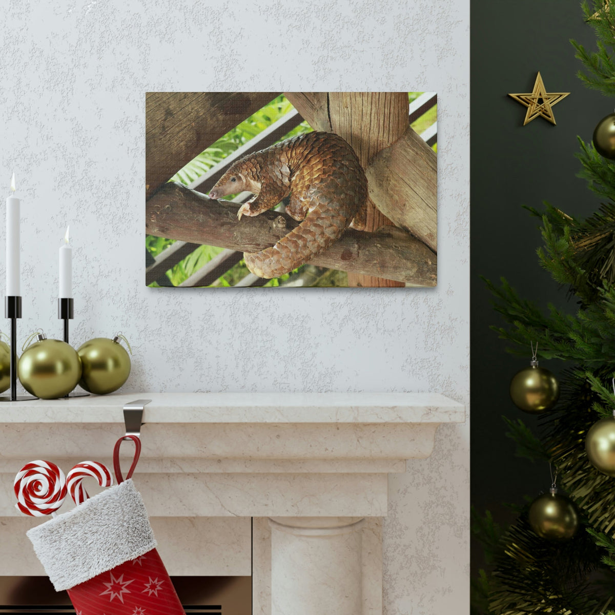 African Tree Pangolin Hanging On The Tree Staring African Tree Pangolin Outdoor Wall Art Ready To Hang Unframed-Express Your Love Gifts