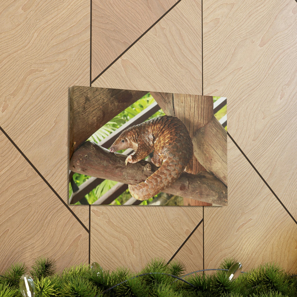 African Tree Pangolin Hanging On The Tree Staring African Tree Pangolin Outdoor Wall Art Ready To Hang Unframed-Express Your Love Gifts