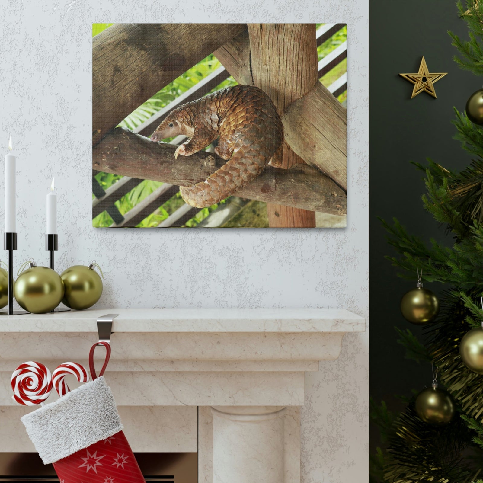 African Tree Pangolin Hanging On The Tree Staring African Tree Pangolin Outdoor Wall Art Ready To Hang Unframed-Express Your Love Gifts
