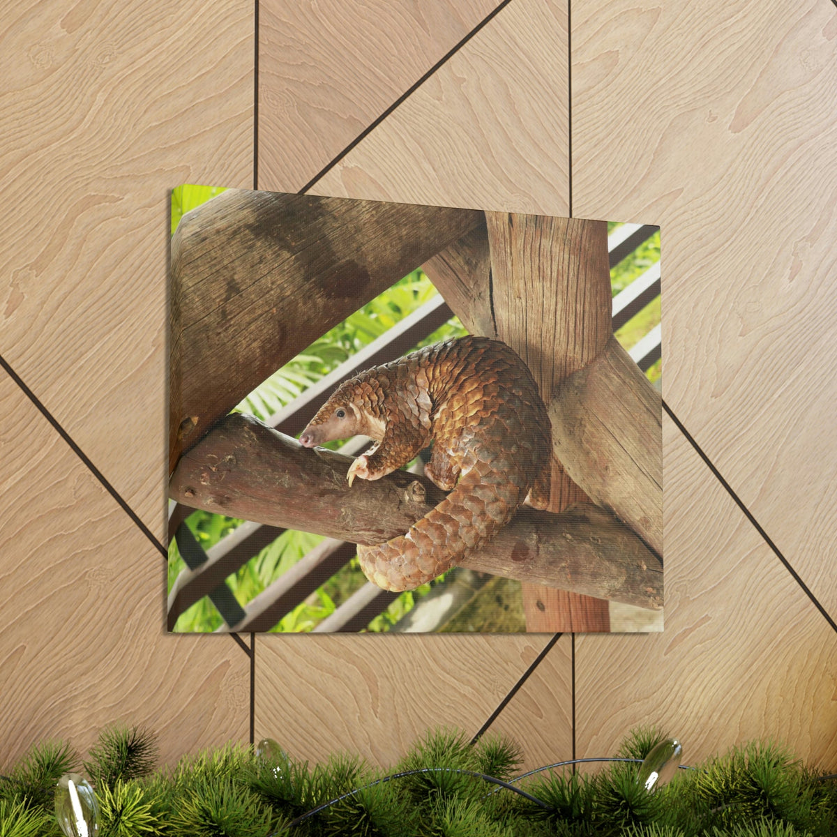 African Tree Pangolin Hanging On The Tree Staring African Tree Pangolin Outdoor Wall Art Ready To Hang Unframed-Express Your Love Gifts