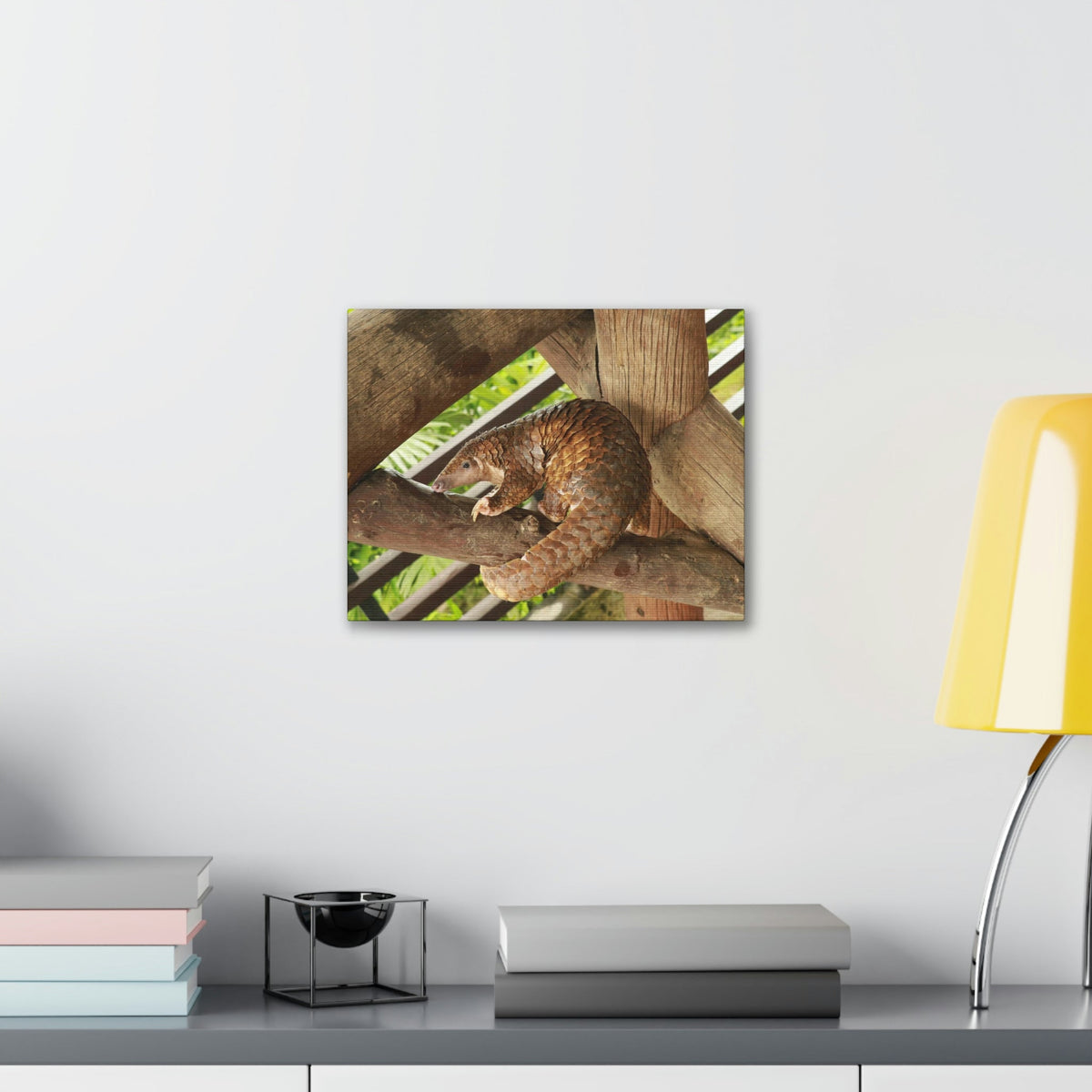 African Tree Pangolin Hanging On The Tree Staring African Tree Pangolin Outdoor Wall Art Ready To Hang Unframed-Express Your Love Gifts