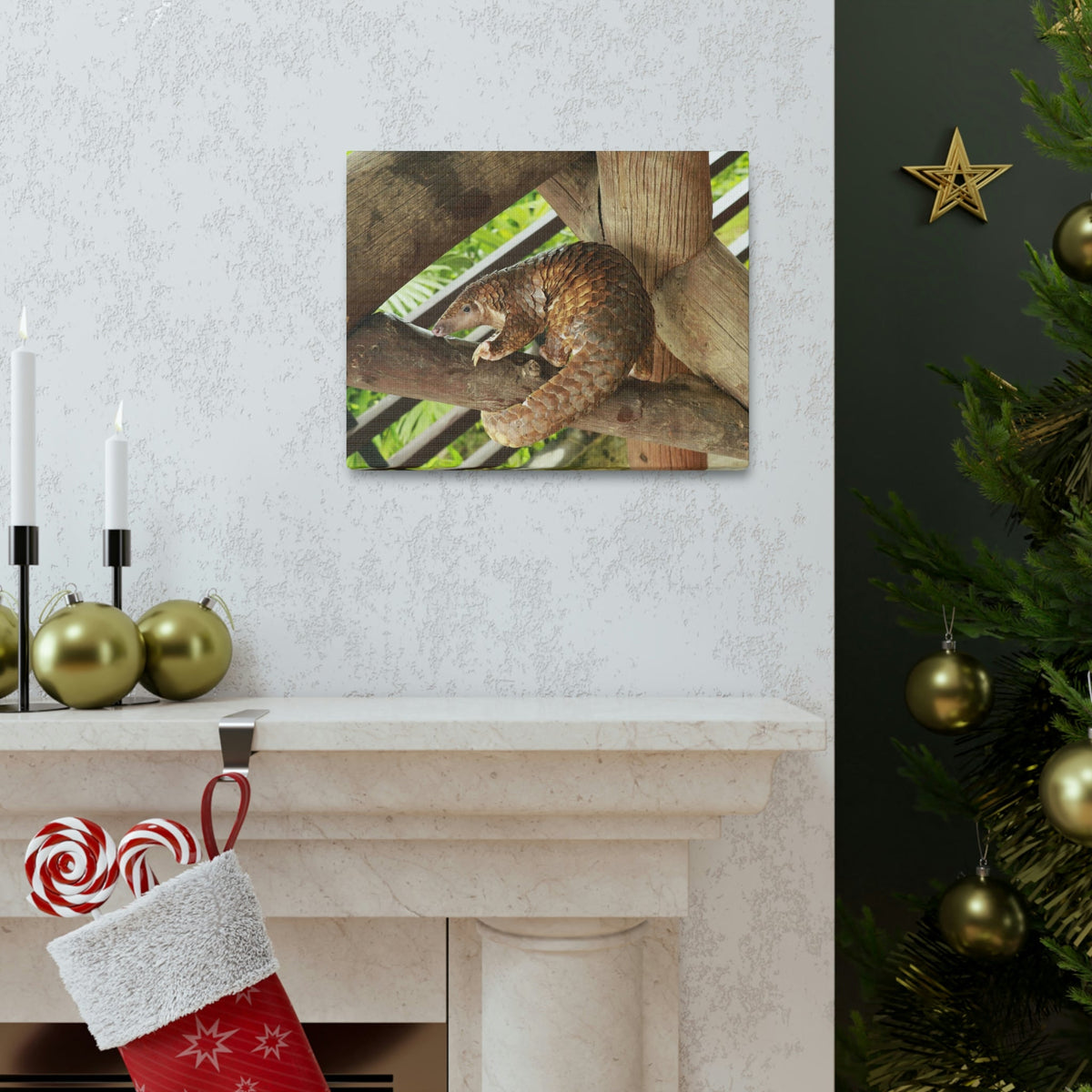 African Tree Pangolin Hanging On The Tree Staring African Tree Pangolin Outdoor Wall Art Ready To Hang Unframed-Express Your Love Gifts