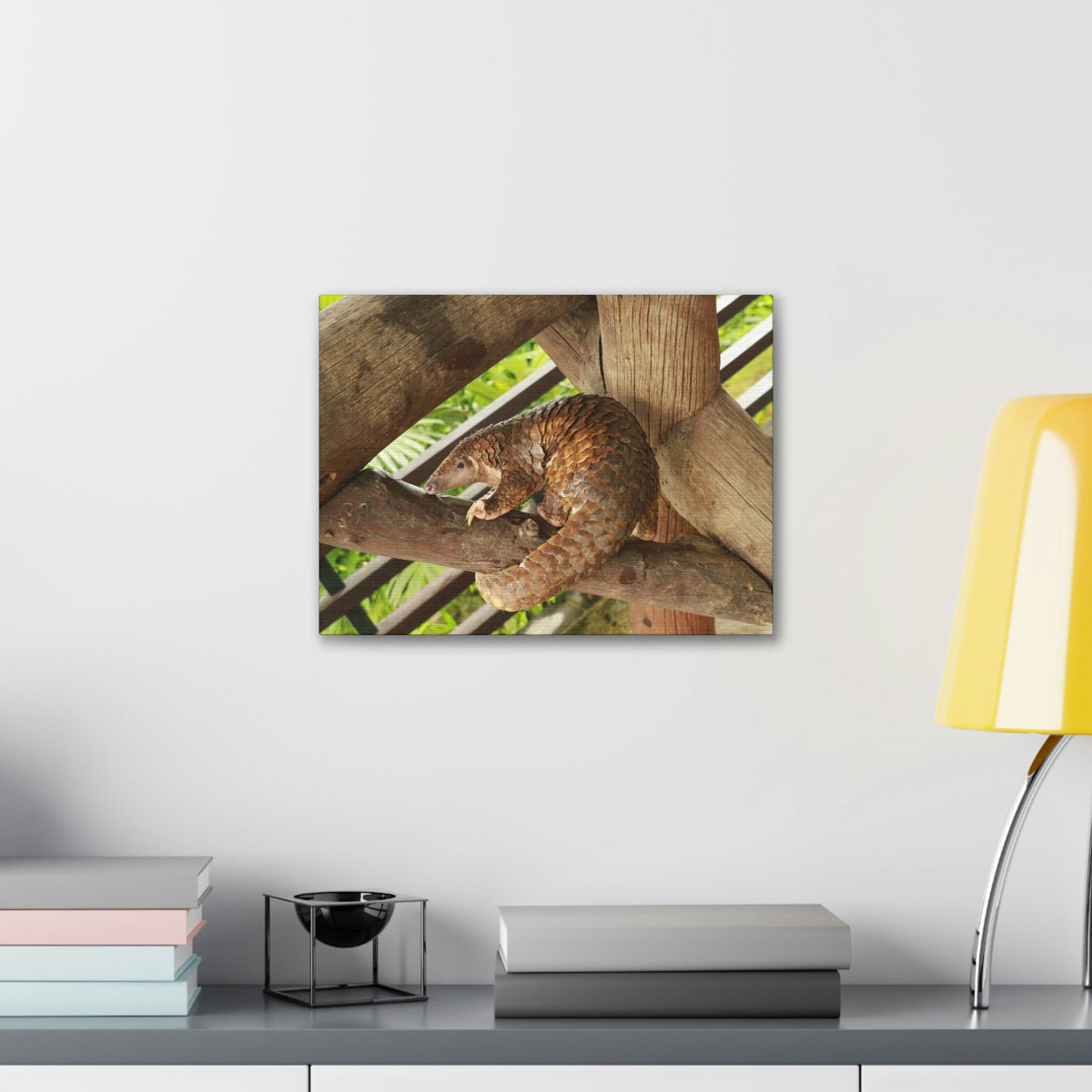 African Tree Pangolin Hanging On The Tree Staring African Tree Pangolin Outdoor Wall Art Ready To Hang Unframed-Express Your Love Gifts