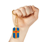 Aland Island Flag Necklace Stainless Steel or 18k Gold Dog Tag 24" Chain-Express Your Love Gifts