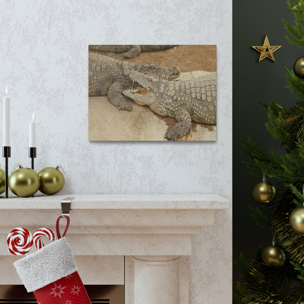 Alligator Couple Canvas Gallery Wraps Unframed-Express Your Love Gifts