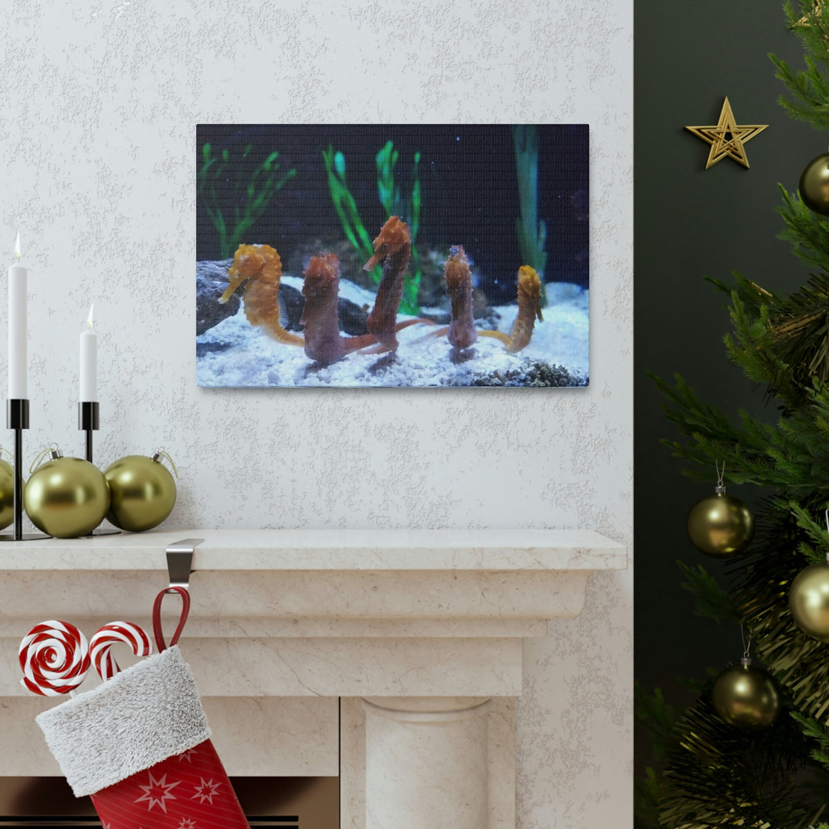 Scripture Walls An Organized Line of Seahorse Group of Seahorse Print Animal Wall Art Wildlife Canvas Prints Wall Art Ready to Hang Unframed-Express Your Love Gifts