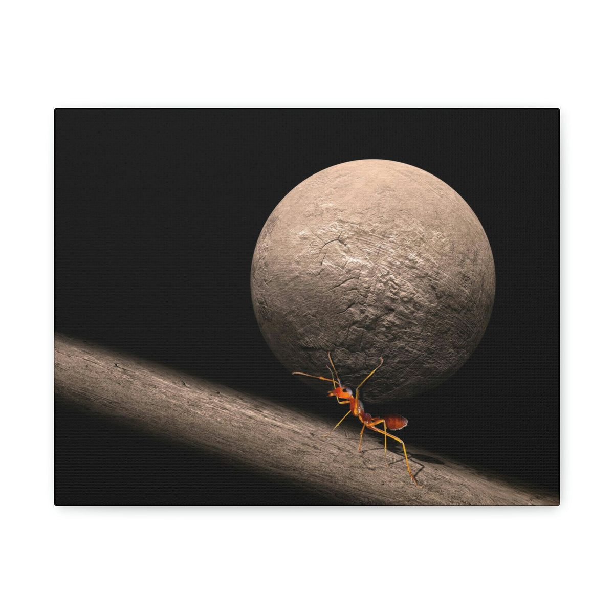 Ant Trying To Carry Huge Stone Ant Carrying Wall Art Ready To Hang Unframed-Express Your Love Gifts