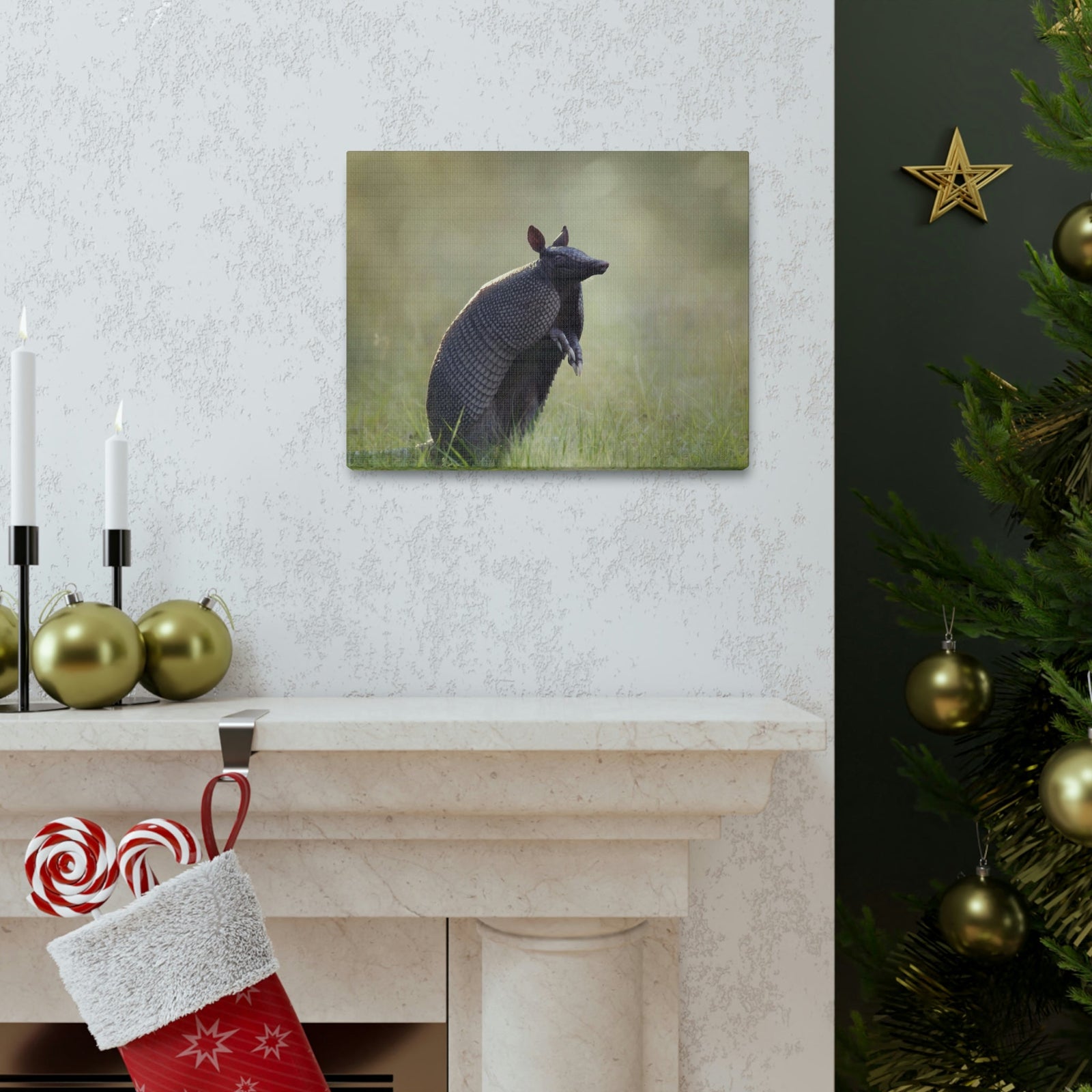 Armadillo At Sunset Armadillo Mammals wall Art Ready To Hang Unframed-Express Your Love Gifts