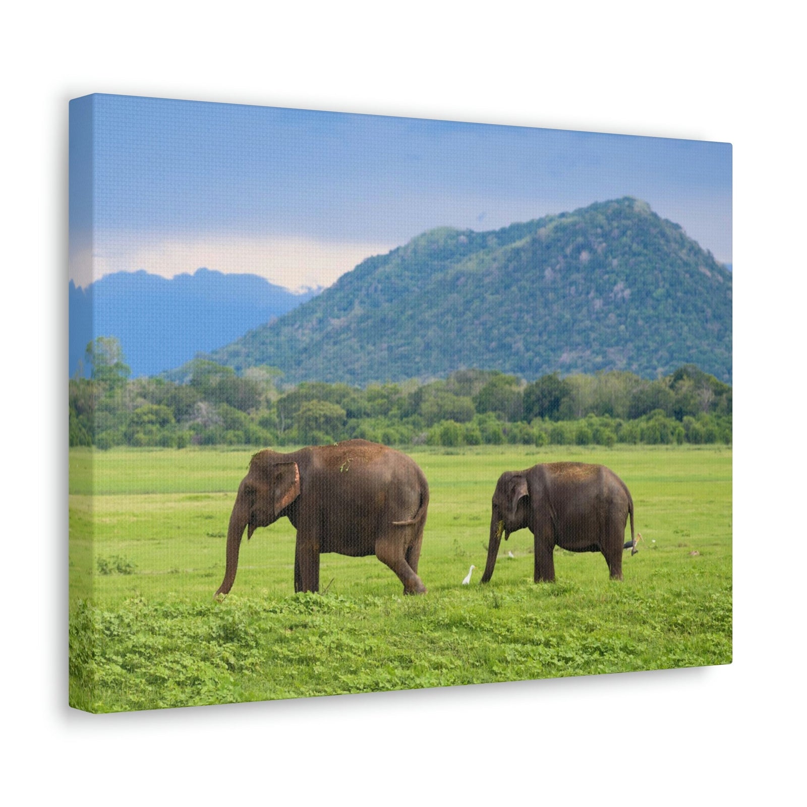 Scripture Walls Asian Elephant Couple Asian Elephant Troop Print Animal Wall Art Wildlife Canvas Prints Wall Art Ready to Hang Unframed-Express Your Love Gifts