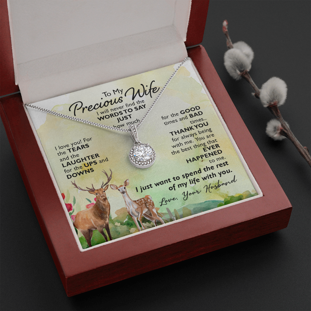 To My Precious Wife I Will Never Find the Words Eternal Union Necklace-Express Your Love Gifts