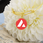 Avalanche (AVAX) Bracelet Stainless Steel or 18k Gold Circle Bangle-Express Your Love Gifts