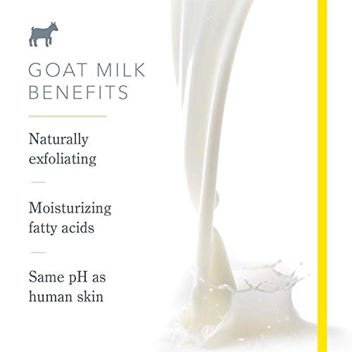 Beekman 1802 Whipped Body Cream Vanilla Absolute Goat Milk Body Butter Daily Hydration for Dry Skin - Naturally Exfoliating Body Cream - Good for Sensitive Skin - Goat Milk Bodycare - 8 oz-Express Your Love Gifts