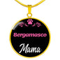 Bergamasco Mama Necklace Circle Pendant Stainless Steel or 18k Gold 18-22" Dog Mom Pendant-Express Your Love Gifts
