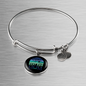 Best Dog Mom Ever Blue Green Bracelet Stainless Steel or 18k Gold Circle Bangle-Express Your Love Gifts