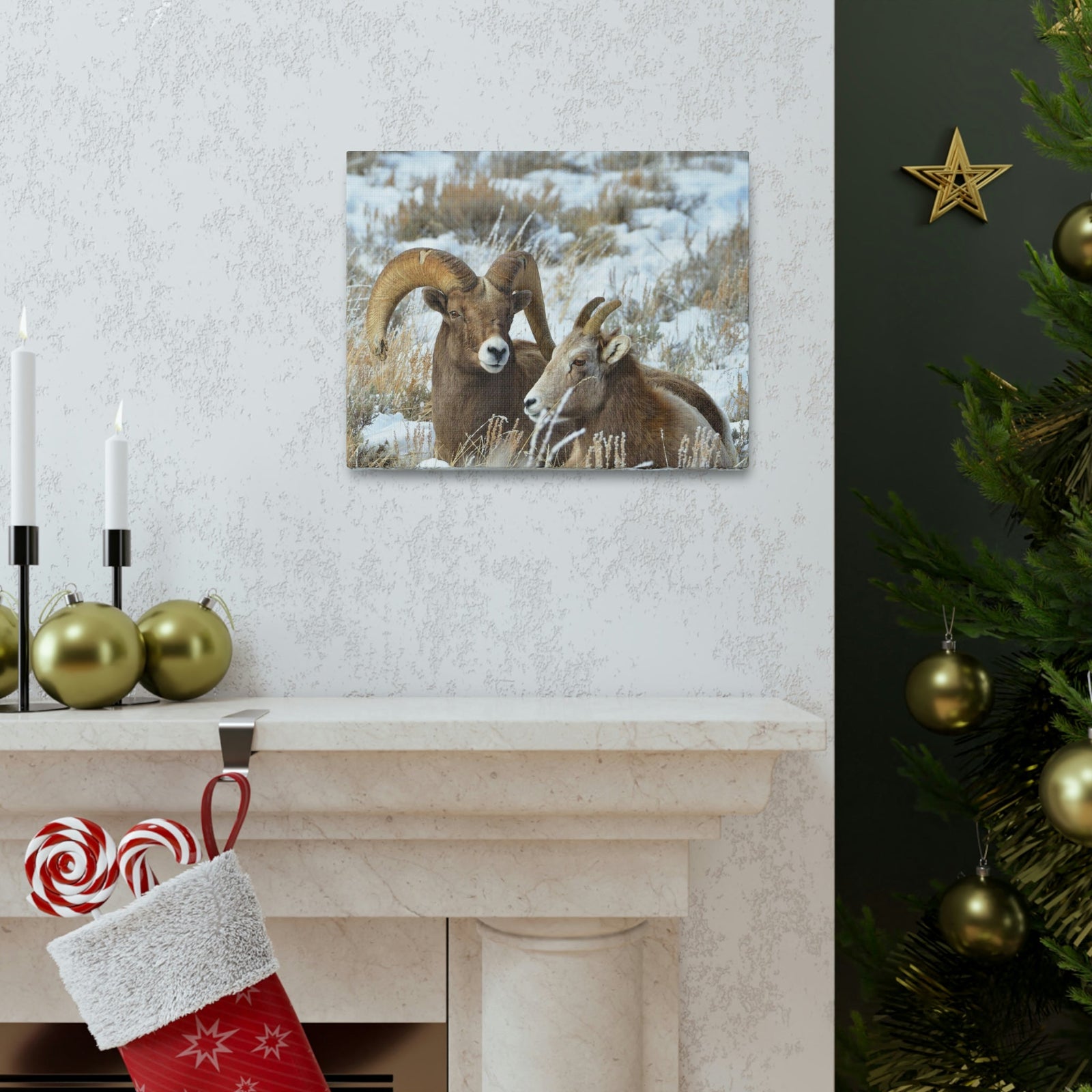 Scripture Walls Big-horned sheep Couple Big-horned sheep Troop Print Animal Wall Art Wildlife Canvas Prints Wall Art Ready to Hang Unframed-Express Your Love Gifts