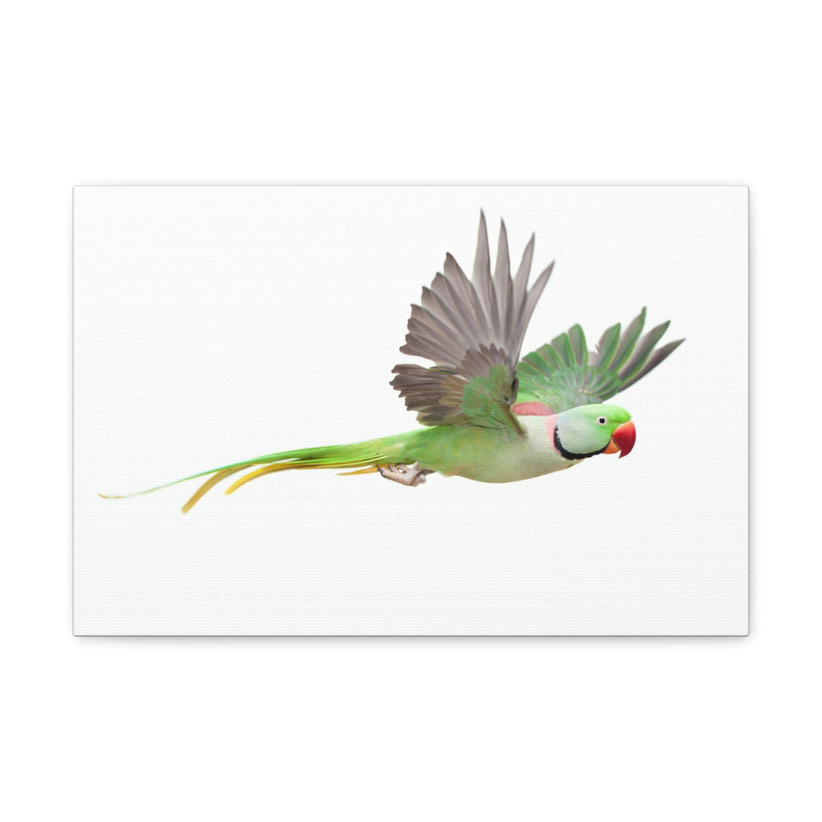 Scripture Walls Bird Hunting Bird on Hunt Print Animal Wall Art Wildlife Canvas Prints Wall Art Ready to Hang Unframed-Express Your Love Gifts