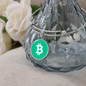 Bitcoin Cash BCH Bracelet Stainless Steel or 18k Gold Circle Bangle-Express Your Love Gifts