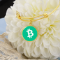 Bitcoin Cash BCH Bracelet Stainless Steel or 18k Gold Circle Bangle-Express Your Love Gifts