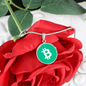 Bitcoin Cash BCH Circle Necklace Stainless Steel or 18k Gold 18-22"-Express Your Love Gifts
