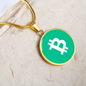 Bitcoin Cash BCH Circle Necklace Stainless Steel or 18k Gold 18-22"-Express Your Love Gifts