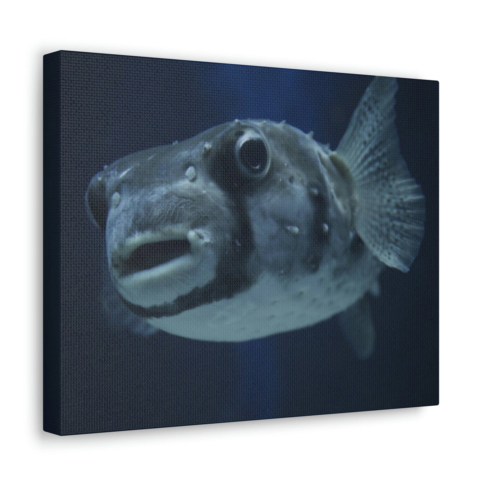 Scripture Walls Blowfish Hunting Blowfish on Hunt Print Animal Wall Art Wildlife Canvas Prints Wall Art Ready to Hang Unframed-Express Your Love Gifts
