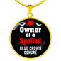 Blue Crown Conure Bird Owner Necklace Circle Pendant Stainless Steel or 18k Gold 18-22"-Express Your Love Gifts