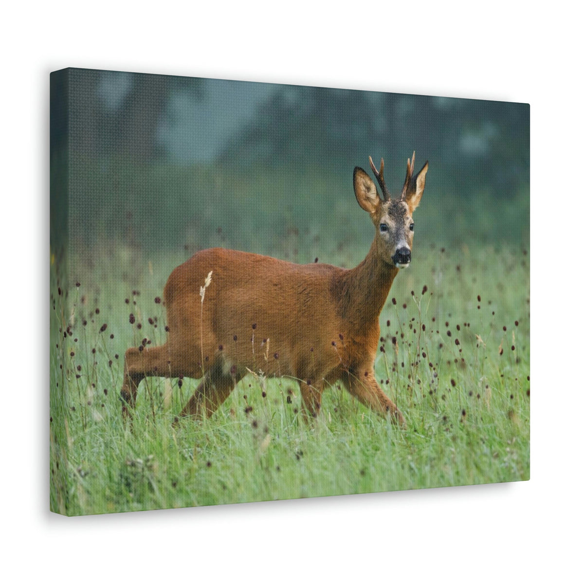 Scripture Walls Buck Hunting Buck on Hunt Print Animal Wall Art Wildlife Canvas Prints Wall Art Ready to Hang Unframed-Express Your Love Gifts