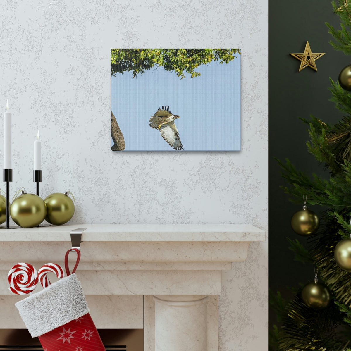 Scripture Walls Buzzard Hunting Buzzard on Hunt Print Animal Wall Art Wildlife Canvas Prints Wall Art Ready to Hang Unframed-Express Your Love Gifts