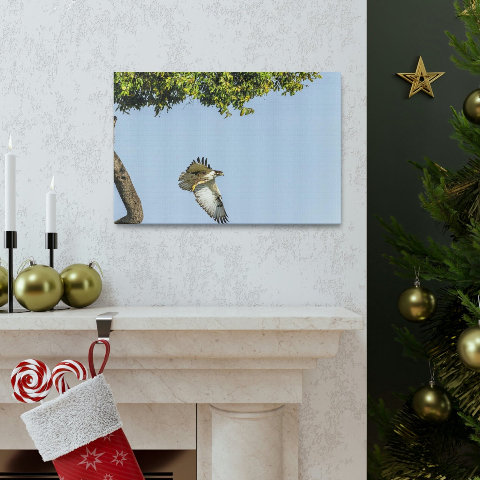 Scripture Walls Buzzard Hunting Buzzard on Hunt Print Animal Wall Art Wildlife Canvas Prints Wall Art Ready to Hang Unframed-Express Your Love Gifts