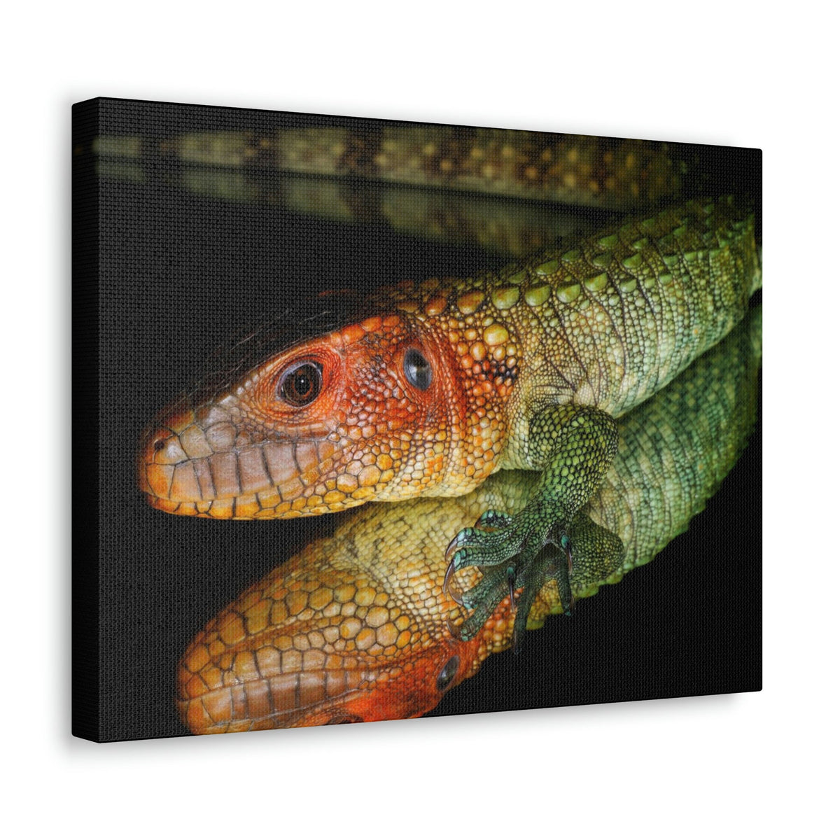 Scripture Walls Caiman Lizard Hunting Caiman Lizard on Hunt Print Animal Wall Art Wildlife Canvas Prints Wall Art Ready to Hang Unframed-Express Your Love Gifts