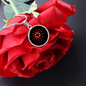 Cardano Crypto Necklace Circle Necklace Stainless Steel or 18k Gold 18-22"-Express Your Love Gifts