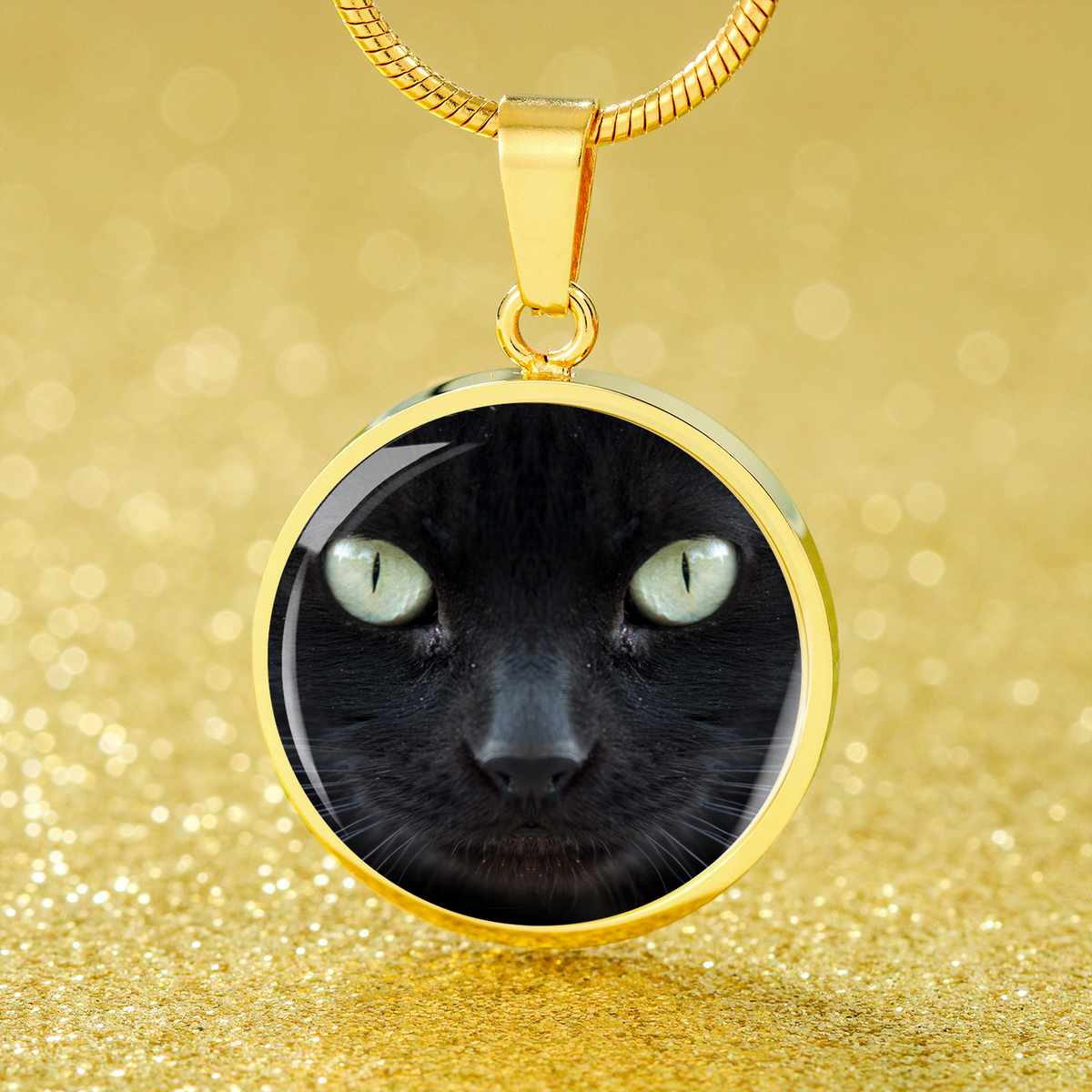 Cat Lover Necklace Black Cat Eyes Circle Pendant Stainless Steel or 18k Gold 18-22"-Express Your Love Gifts