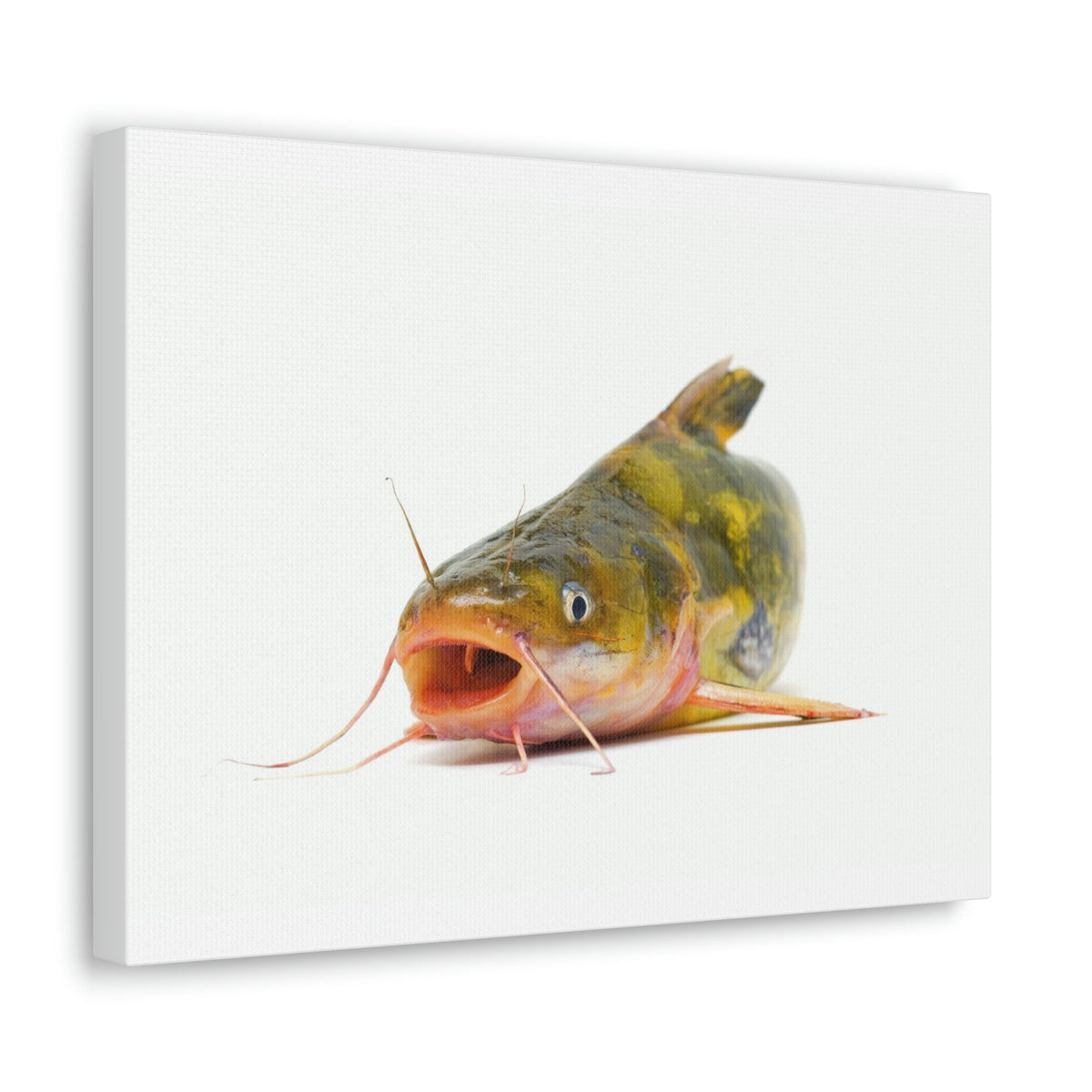 Scripture Walls Catfish Hunting Catfish on Hunt Print Animal Wall Art Wildlife Canvas Prints Wall Art Ready to Hang Unframed-Express Your Love Gifts