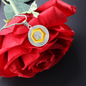 Chainlink Token Gold Circle Necklace Stainless Steel or 18k Gold 18-22"-Express Your Love Gifts