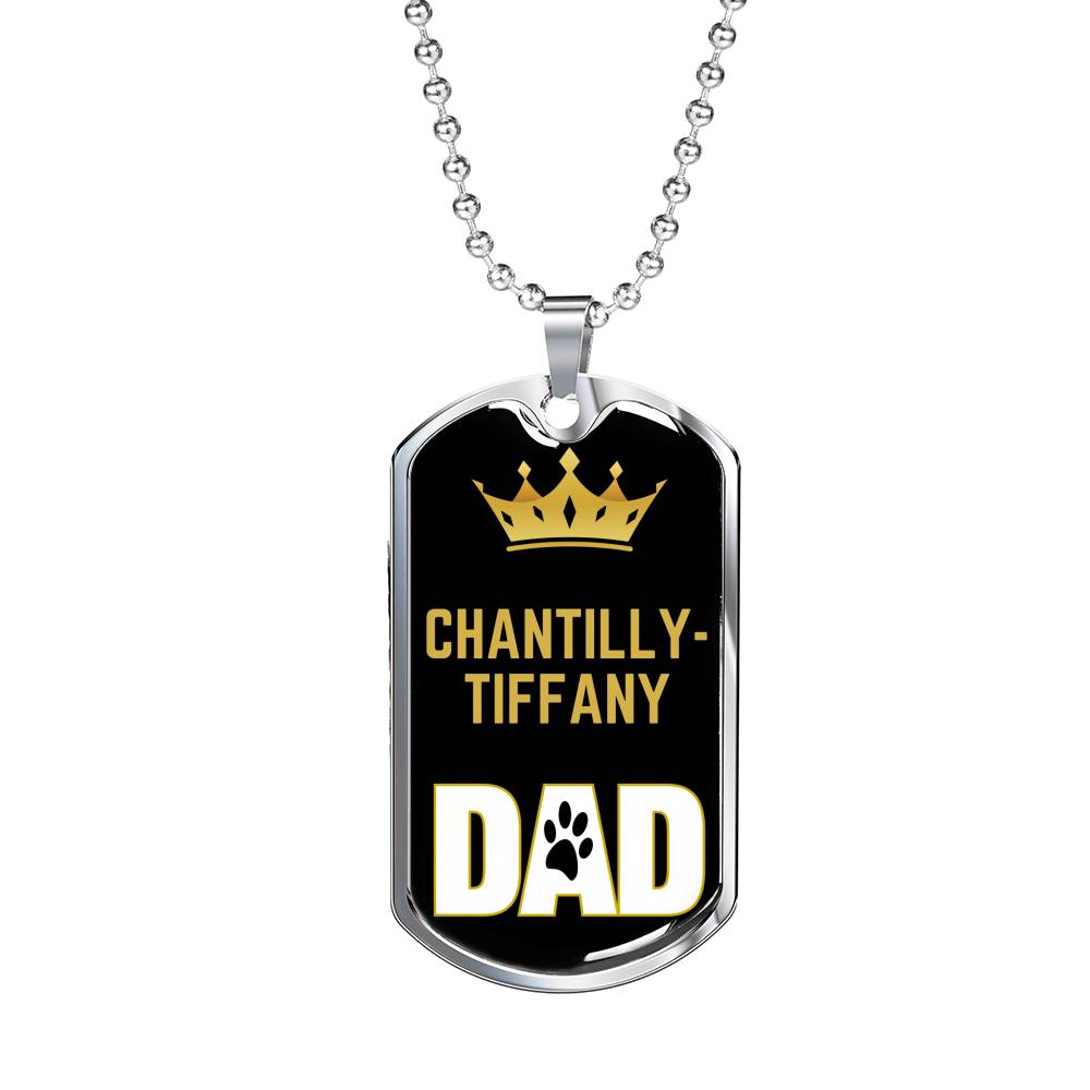 Chantillytiffany Cat Dad Necklace Stainless Steel or 18k Gold Dog Tag 24" Chain-Express Your Love Gifts
