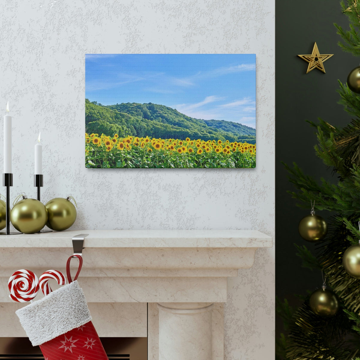 Charming Sunflower on the Field Scene Beautiful Lovely and Gorgeous Flowers Beauty Nature Scene Sunflower on a Sunny Day Wall Art Ready to Hang Unframed-Express Your Love Gifts