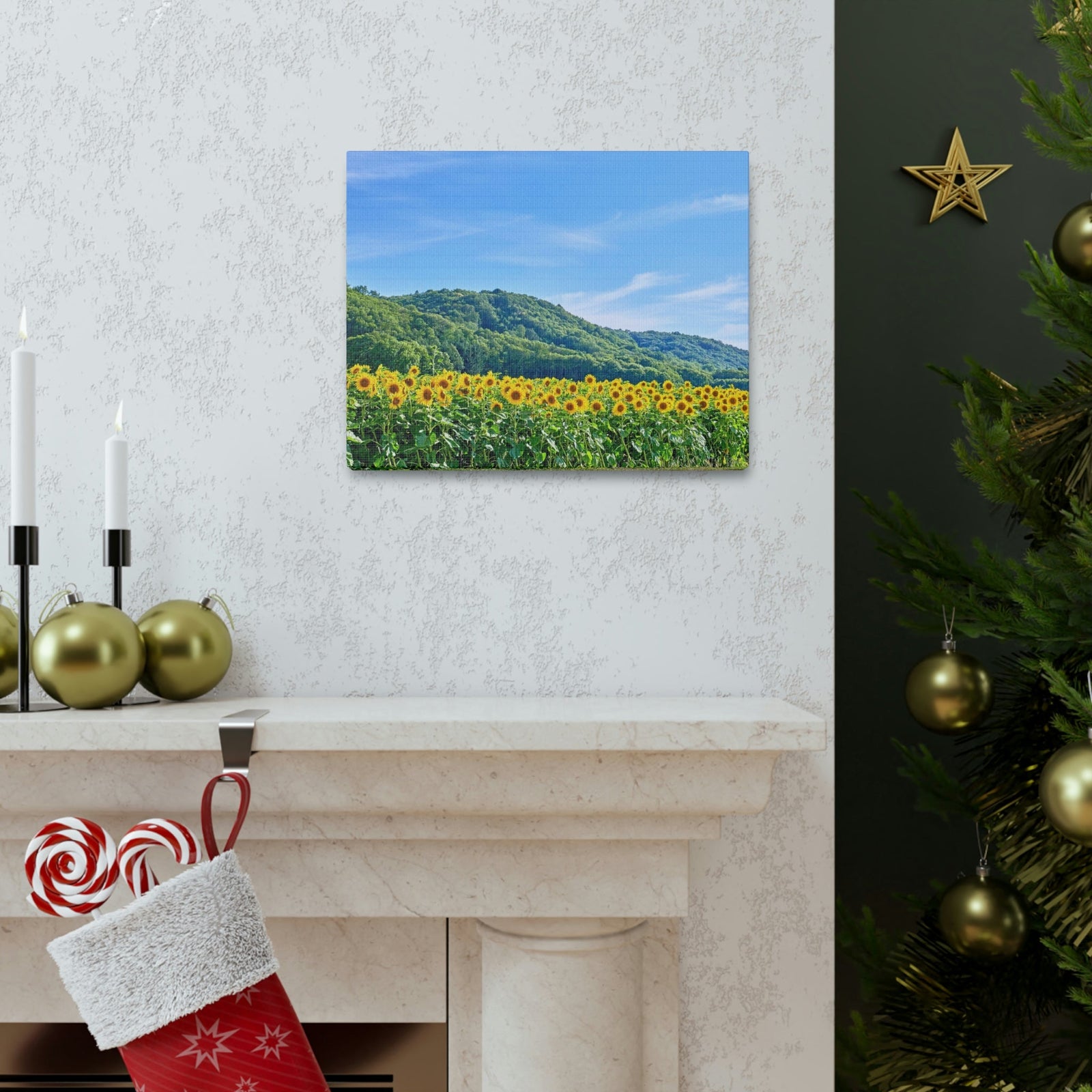 Charming Sunflower on the Field Scene Beautiful Lovely and Gorgeous Flowers Beauty Nature Scene Sunflower on a Sunny Day Wall Art Ready to Hang Unframed-Express Your Love Gifts