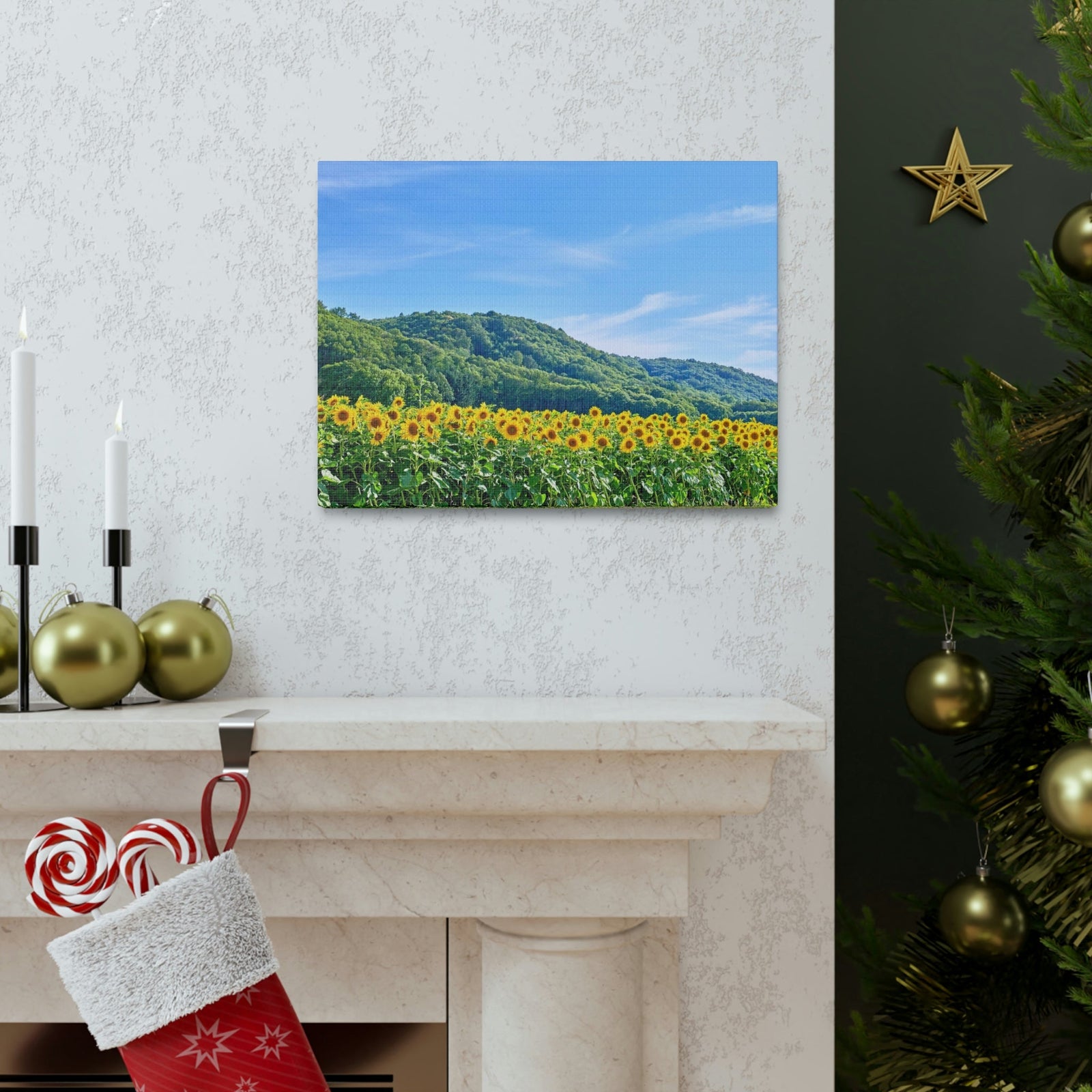 Charming Sunflower on the Field Scene Beautiful Lovely and Gorgeous Flowers Beauty Nature Scene Sunflower on a Sunny Day Wall Art Ready to Hang Unframed-Express Your Love Gifts