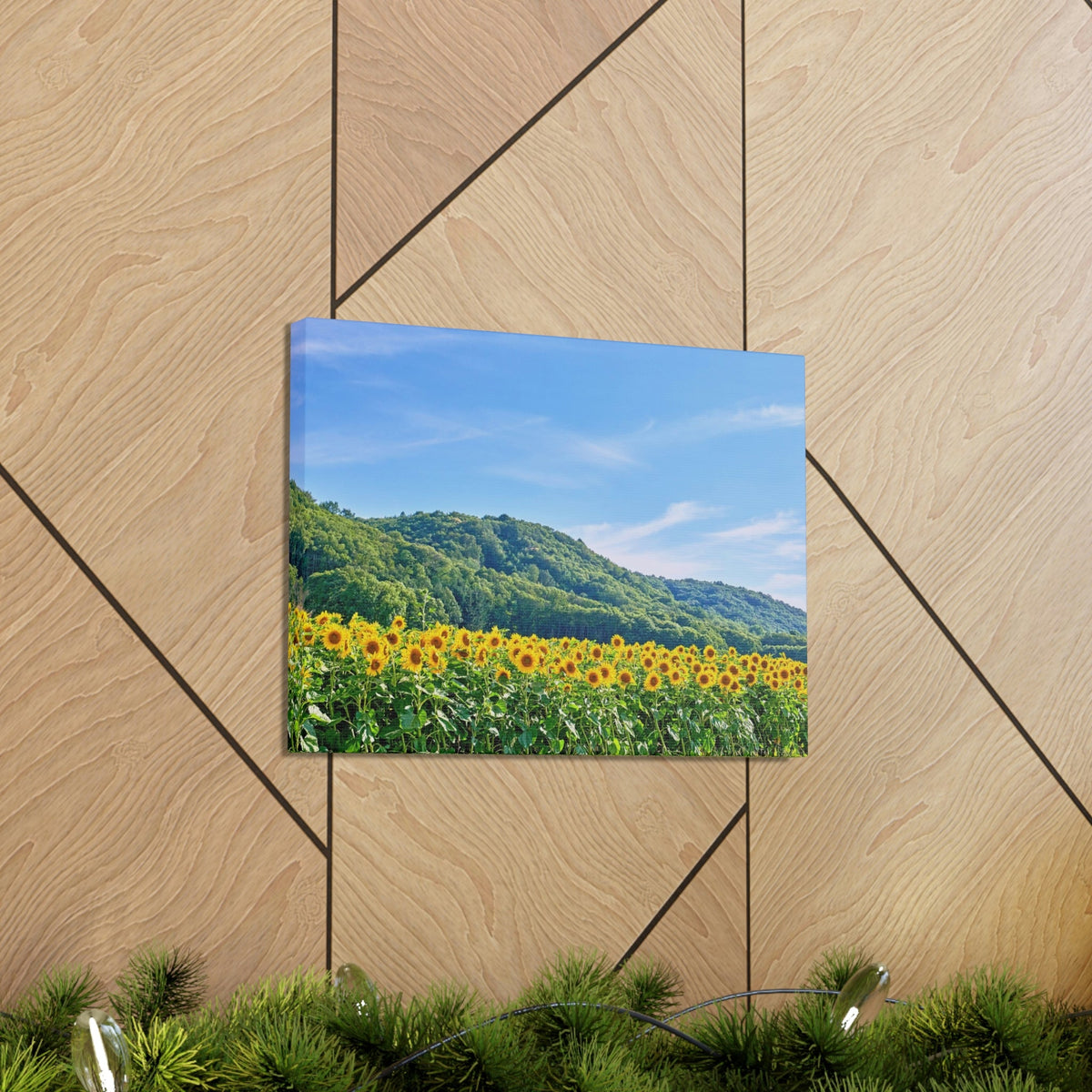 Charming Sunflower on the Field Scene Beautiful Lovely and Gorgeous Flowers Beauty Nature Scene Sunflower on a Sunny Day Wall Art Ready to Hang Unframed-Express Your Love Gifts