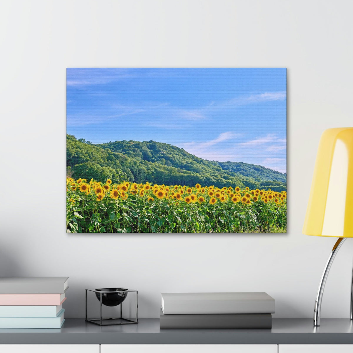 Charming Sunflower on the Field Scene Beautiful Lovely and Gorgeous Flowers Beauty Nature Scene Sunflower on a Sunny Day Wall Art Ready to Hang Unframed-Express Your Love Gifts