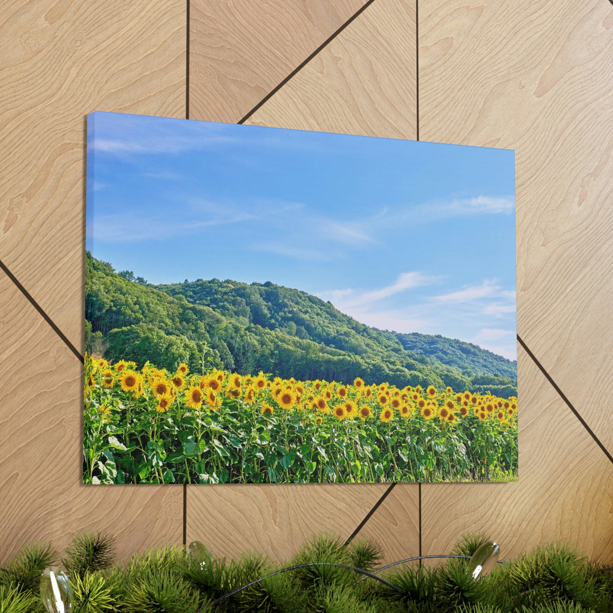 Charming Sunflower on the Field Scene Beautiful Lovely and Gorgeous Flowers Beauty Nature Scene Sunflower on a Sunny Day Wall Art Ready to Hang Unframed-Express Your Love Gifts
