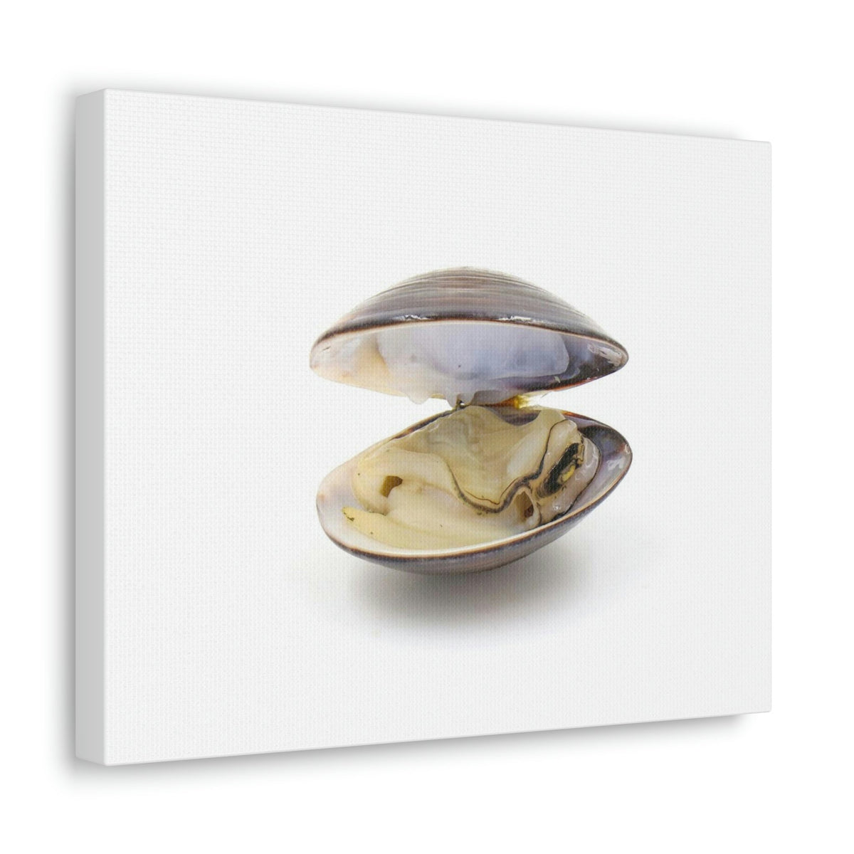 Scripture Walls Clam Hunting Clam on Hunt Print Animal Wall Art Wildlife Canvas Prints Wall Art Ready to Hang Unframed-Express Your Love Gifts