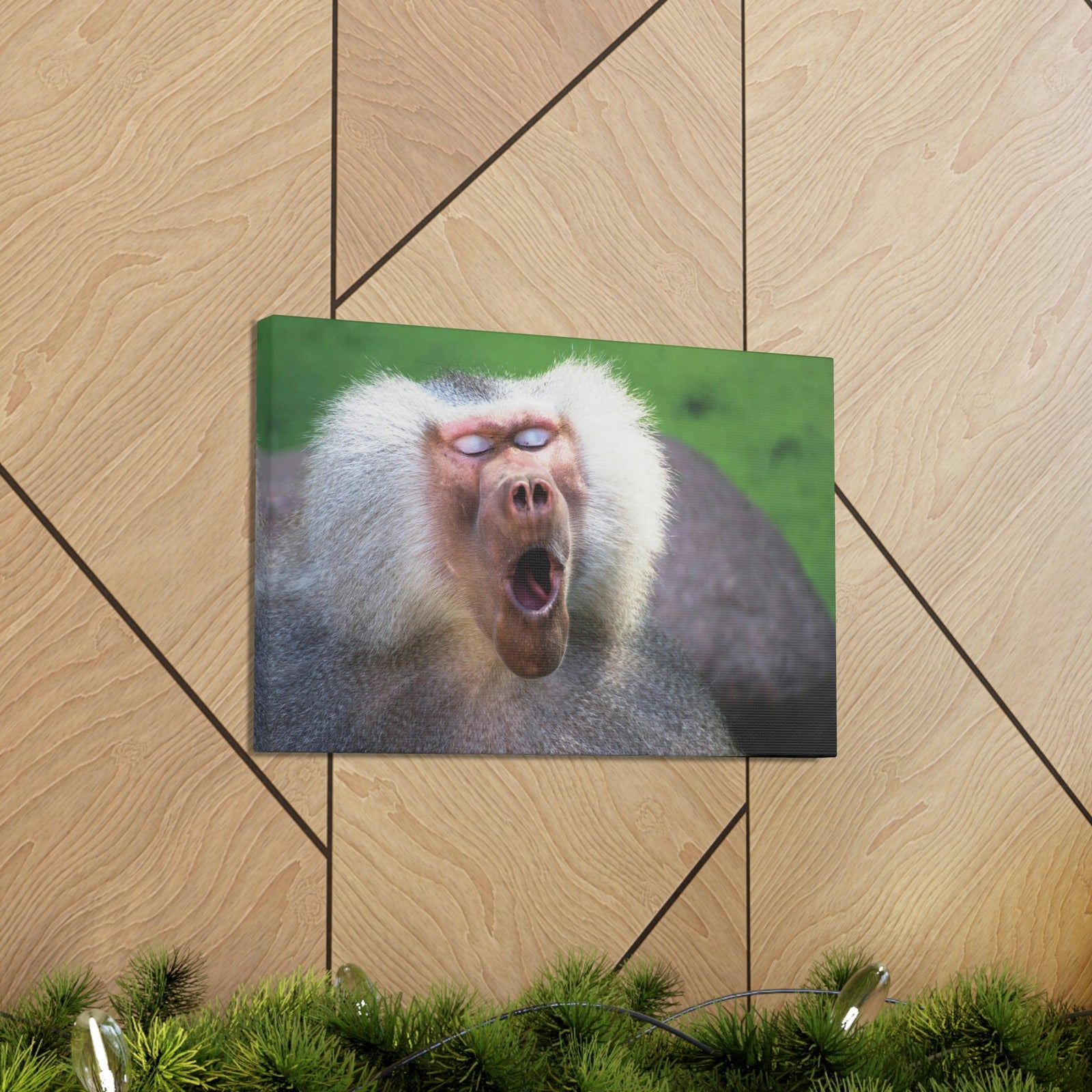 Close Up of Funny Baboon Outside Wall Art Ready to Hang Unframed-Express Your Love Gifts