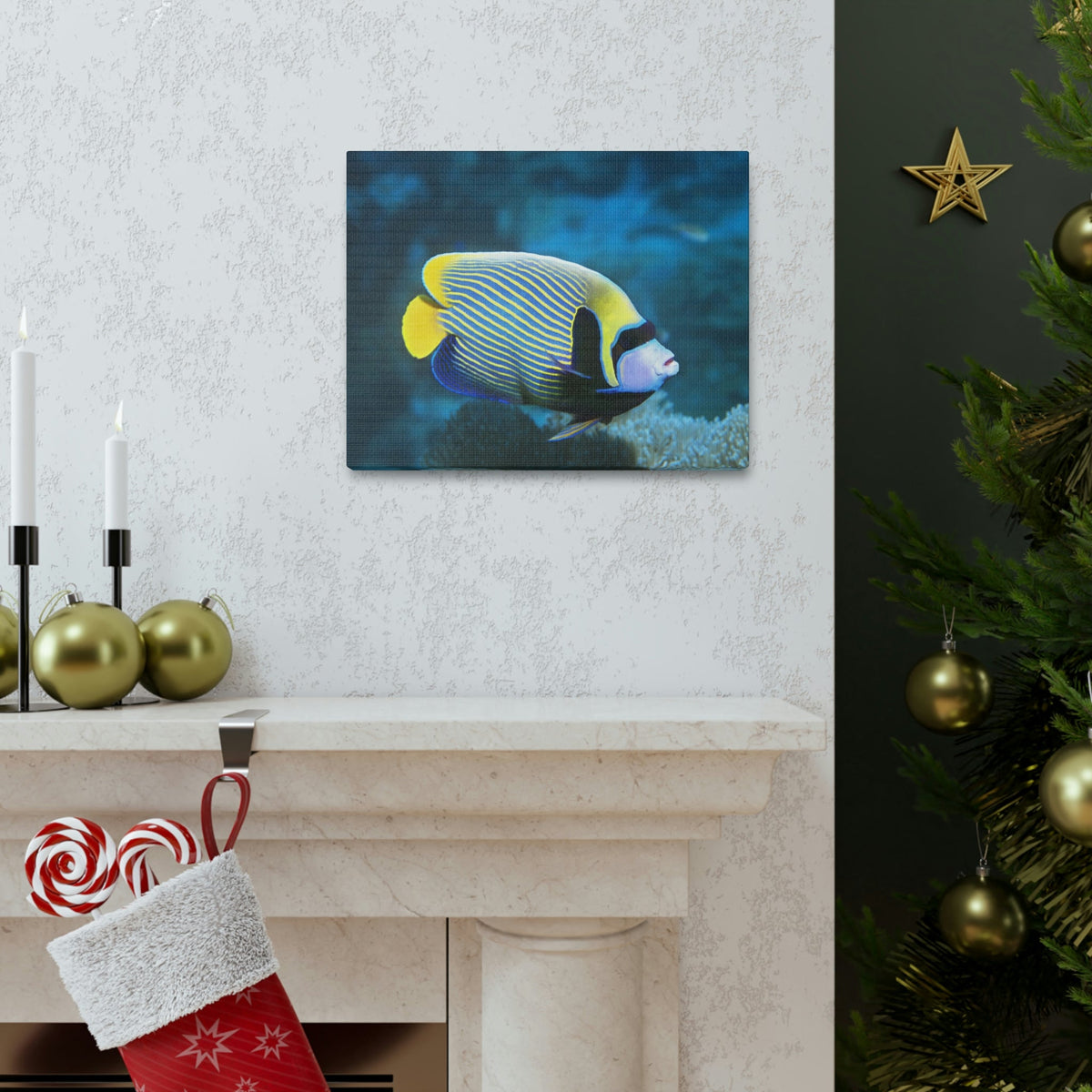 Colorful Angel Fish Glow In The Dark Angel Fish Inside Wall Art Ready To Hang Unframed-Express Your Love Gifts