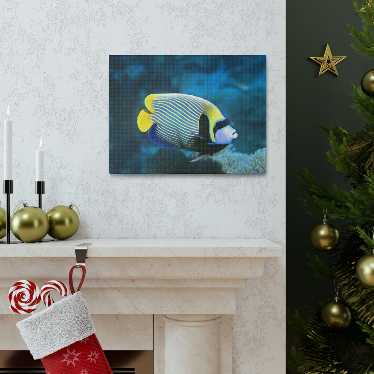 Colorful Angel Fish Glow In The Dark Angel Fish Inside Wall Art Ready To Hang Unframed-Express Your Love Gifts